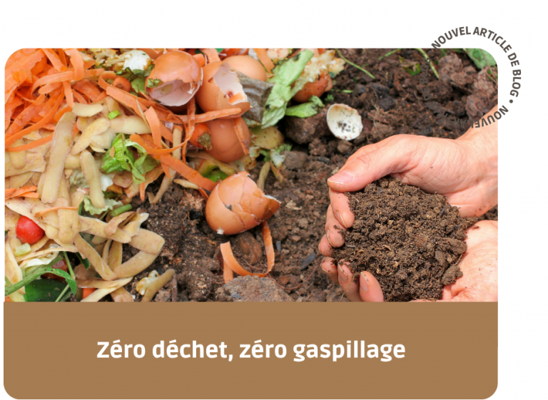 actualités zéro déchet