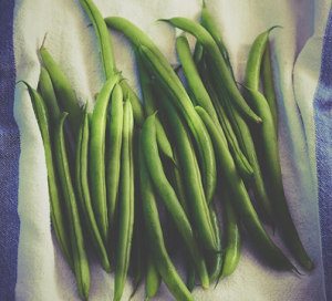 Des haricots vert bio